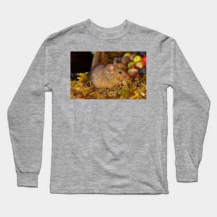 Wild  cute garden house  mouse Long Sleeve T-Shirt